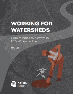 Working for Watersheds Report